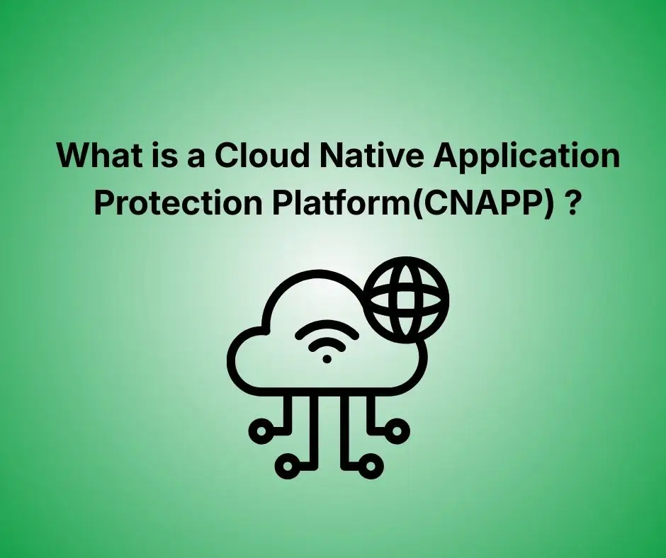 Cloud Native Application Protection Platform